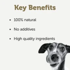 Applaws Taste Toppers Chicken & Vegetables Wet Dog Food Tins - 12 X 156g By Applaws -Pattes Douces Store Applaws Taste Toppers Chicken Vegetables Wet Dog Food 12 x 156g 4