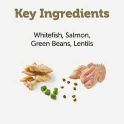Applaws Taste Toppers Whitefish Salmon & Green Beans In Gravy Wet Dog Food Pouches - 12 X 85g By Applaws -Pattes Douces Store Applaws Taste Toppers Dog Pouch Whitefish Salmon Green Beans in Gravy 12x85g 3