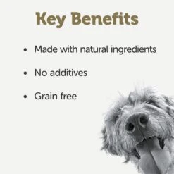 Applaws Taste Toppers Lamb, Pumpkin, Sweet Potato & Peas In Jelly Wet Dog Food Tins - 12 X 156g By Applaws -Pattes Douces Store Applaws Taste Toppers Dog Tin Lamb Pumpkin Sweet Potato Peas in Jelly 12x156g 4