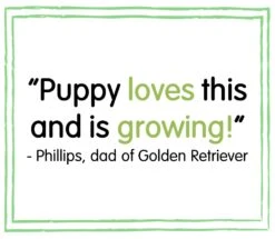 BETA Dry Puppy Food With Chicken - 14kg By Beta -Pattes Douces Store BETA Dry Puppy Food with Chicken 14kg 5