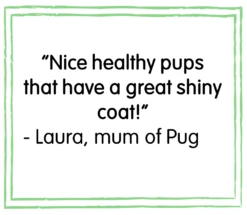 BETA Puppy Turkey & Lamb Dry Dog Food - 14kg By Beta -Pattes Douces Store BETA Dry Puppy Food with Lamb Rice 14kg 6