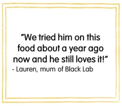 Burgess Sensitive Turkey & Rice Dry Dog Food - 12.5kg By Burgess 12 Burgess Sensitive Turkey & Rice Dry Dog Food - 12.5kg By Burgess -Pattes Douces Store Burgess Sensitive Turkey Rice Dry Dog Food 12 5kg 4