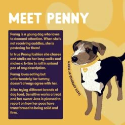 Burgess Sensitive Turkey & Rice Dry Dog Food - 12.5kg By Burgess 15 Burgess Sensitive Turkey & Rice Dry Dog Food - 12.5kg By Burgess -Pattes Douces Store Burgess Sensitive Turkey Rice Dry Dog Food 12 5kg 7