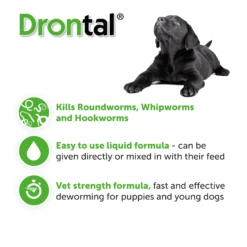 Drontal Puppy Liquid Wormer By Dronta 9 Drontal Puppy Liquid Wormer By Dronta -Pattes Douces Store Drontal Oral Suspension Worming Drops for Puppies 3