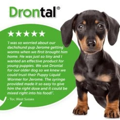 Drontal Puppy Liquid Wormer By Dronta 13 Drontal Puppy Liquid Wormer By Dronta -Pattes Douces Store Drontal Oral Suspension Worming Drops for Puppies 7