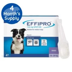 Effipro Spot On Flea & Tick Treatment For Medium Dogs (10-20kg) - 4 Pack By Effipro
