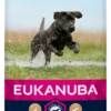 Eukanuba Developing Junior Large Breed Chicken Dry Dog Food - 12kg By Eukanuba