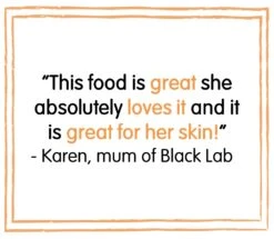 Forthglade Just Chicken With Tripe Grain Free Dog Food - 18 X 395g By Forthglade 6 Forthglade Just Chicken With Tripe Grain Free Dog Food - 18 X 395g By Forthglade -Pattes Douces Store Forthglade Chicken Tripe 18Pack Dog Food 395G 2 1