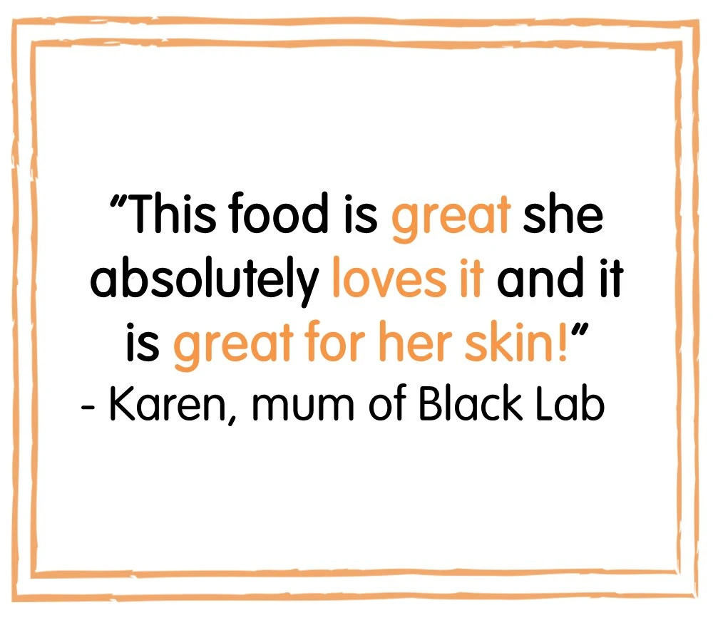 Forthglade Just Chicken With Tripe Grain Free Dog Food - 18 X 395g By Forthglade 3 Forthglade Just Chicken With Tripe Grain Free Dog Food - 18 X 395g By Forthglade - Image 3