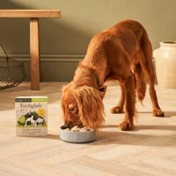 Forthglade Complete Puppy Grain Free Lamb With Liver, Sweet Potato & Veg - 18 X 395g By Forthglade -Pattes Douces Store Forthglade Complete Puppy Grain Free Lamb with Liver Sweet Potato Veg 18 x 395g 4