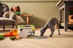 Forthglade Complete Puppy Grain Free Variety Lamb/Chicken With Liver, Sweet Potato & Veg Wet Dog Food - 12x395g By Forthglade -Pattes Douces Store Forthglade Complete Puppy Grain Free Variety Lamb Chicken with Liver Sweet Potato Veg 12x395g 4