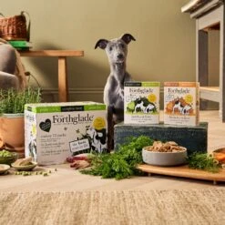 Forthglade Complete Puppy Grain Free Variety Lamb/Chicken With Liver, Sweet Potato & Veg Wet Dog Food - 12x395g By Forthglade -Pattes Douces Store Forthglade Complete Puppy Grain Free Variety Lamb Chicken with Liver Sweet Potato Veg 12x395g 5