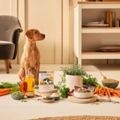 Forthglade Complete Puppy Whole Grain Chicken With Oats & Veg - 18 X 395g By Forthglade -Pattes Douces Store Forthglade Complete Puppy Whole Grain Chicken with Oats Veg 18 x 395g 4