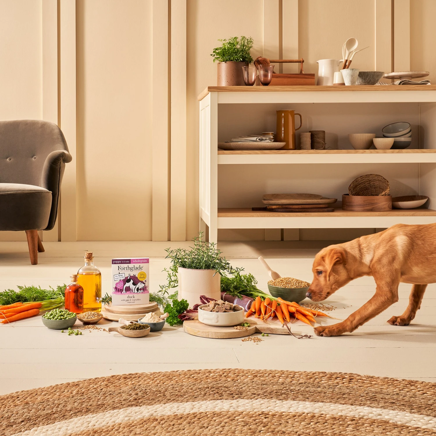 Forthglade Complete Puppy Whole Grain Duck With Oats & Veg - 18 X 395g By Forthglade 4 Forthglade Complete Puppy Whole Grain Duck With Oats & Veg - 18 X 395g By Forthglade - Image 4