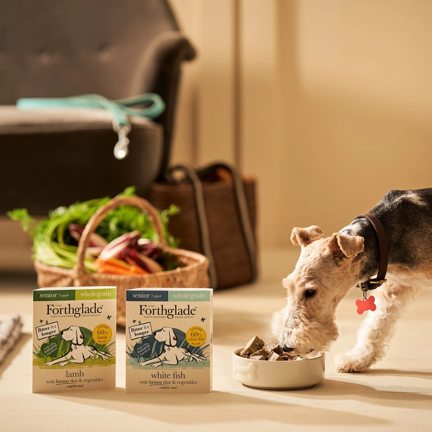 Forthglade Complete Senior Dog Wholegrain Variety Lamb/Fish With Brown Rice & Veg Wet Dog Food - 12x395g By Forthglade 4 Forthglade Complete Senior Dog Wholegrain Variety Lamb/Fish With Brown Rice & Veg Wet Dog Food - 12x395g By Forthglade - Image 4