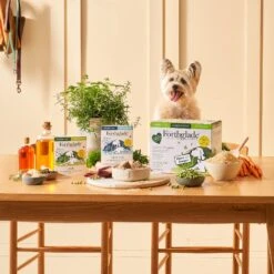 Forthglade Complete Senior Dog Wholegrain Variety Lamb/Fish With Brown Rice & Veg Wet Dog Food - 12x395g By Forthglade 12 Forthglade Complete Senior Dog Wholegrain Variety Lamb/Fish With Brown Rice & Veg Wet Dog Food - 12x395g By Forthglade -Pattes Douces Store Forthglade Complete Senior Dog Wholegrain Variety Lamb Fish with Brown Rice Veg 12x395g 5