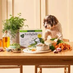 Forthglade Complete Senior Dog Wholegrain Variety Lamb/Fish With Brown Rice & Veg Wet Dog Food - 12x395g By Forthglade 15 Forthglade Complete Senior Dog Wholegrain Variety Lamb/Fish With Brown Rice & Veg Wet Dog Food - 12x395g By Forthglade -Pattes Douces Store Forthglade Complete Senior Dog Wholegrain Variety Lamb Fish with Brown Rice Veg 12x395g 8