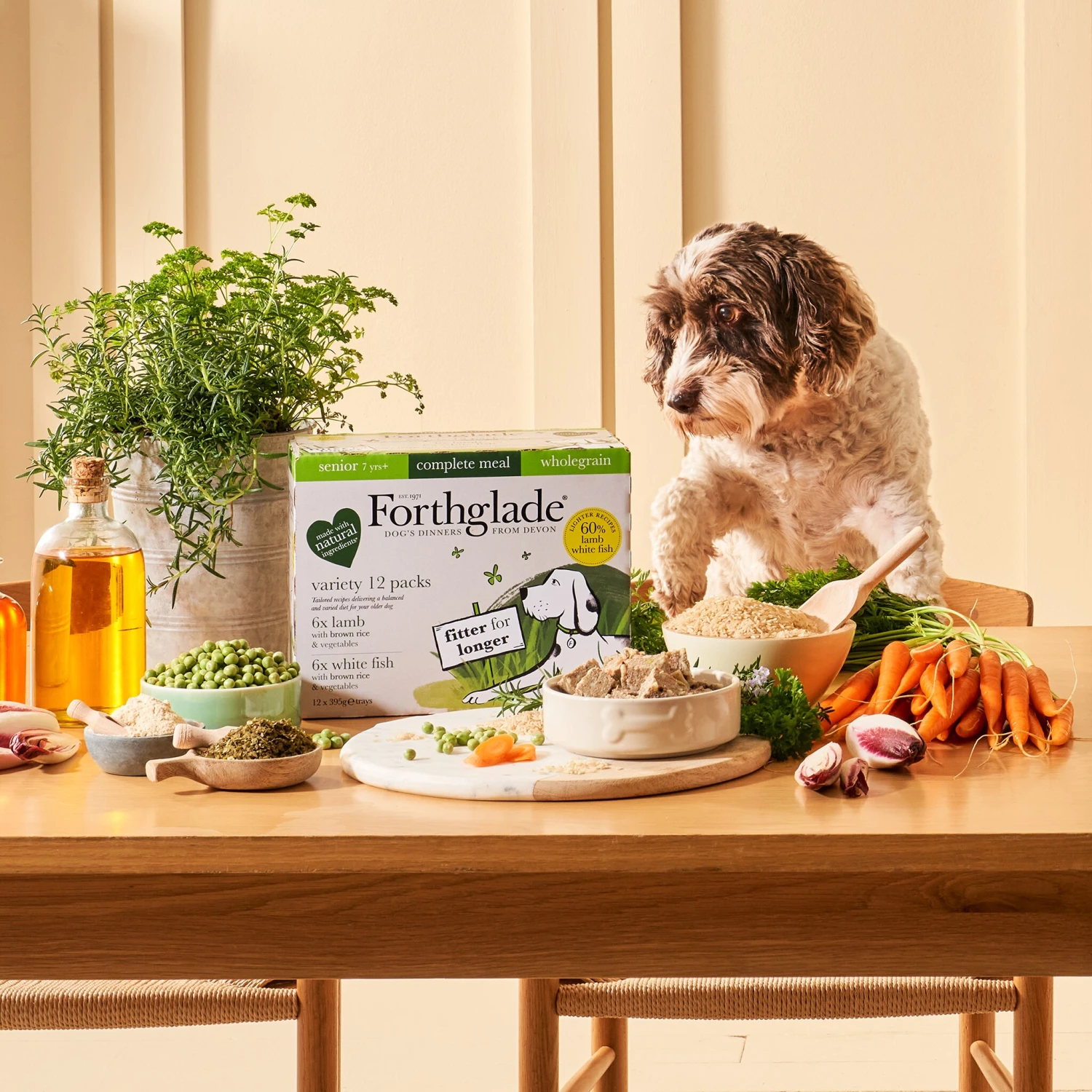 Forthglade Complete Senior Dog Wholegrain Variety Lamb/Fish With Brown Rice & Veg Wet Dog Food - 12x395g By Forthglade 8 Forthglade Complete Senior Dog Wholegrain Variety Lamb/Fish With Brown Rice & Veg Wet Dog Food - 12x395g By Forthglade - Image 8