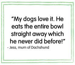 Harringtons Complete Grain Free Hypoallergenic Turkey Dry Dog Food - 15kg By Harringtons 7 Harringtons Complete Grain Free Hypoallergenic Turkey Dry Dog Food - 15kg By Harringtons -Pattes Douces Store Harringtons Complete Grain Free Dry Dog Food 15kg 4
