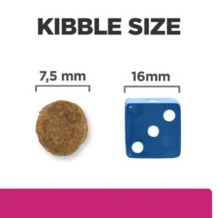 Hill’s Prescription Diet Gastrointestinal Biome Mini Dry Dog Food - 3kg By Hills Prescription Diet -Pattes Douces Store Hills Prescription Diet Gastrointestinal Biome Mini Dry Dog Food 3kg 6