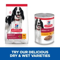 Hill's Science Plan Adult Chicken Wet Dog Food Cans - 12 X 370g By Hills -Pattes Douces Store Hills Science Plan Adult Chicken Wet Dog Food 12 x 370g 3