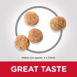 Hill's Science Plan Adult Sensitive Stomach & Skin Small & Mini Chicken Dry Dog Food - 3kg By Hills -Pattes Douces Store Hills Science Plan Adult Sensitive Stomach Skin Small Mini Chicken Dry Dog Food 3kg 5