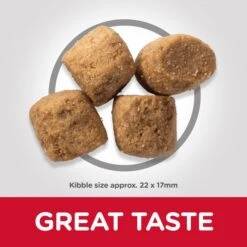 Hill's Science Plan Adult Oral Care Chicken Dry Dog Food - 2kg By Hills -Pattes Douces Store Hills Science Plan Canine Adult Oral Care Chicken Dry Dog Food 2kg 5