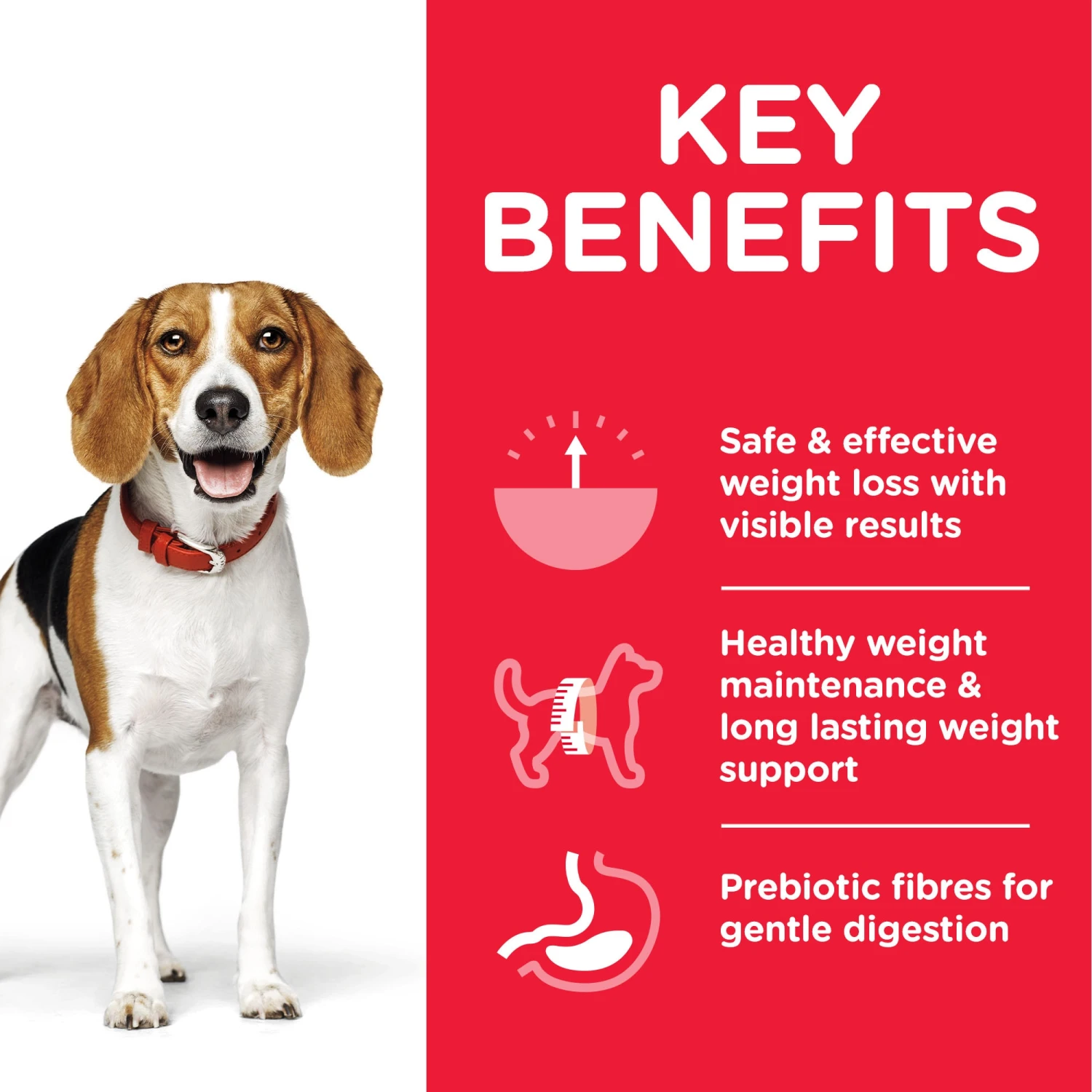 Hill's Science Plan Adult Perfect Weight Medium Chicken Dry Dog Food - 12kg By Hills 3 Hill's Science Plan Adult Perfect Weight Medium Chicken Dry Dog Food - 12kg By Hills - Image 3