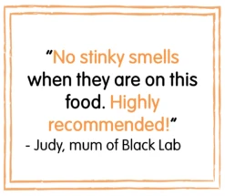 Huntland Adult Scottish Loch Salmon Grain Free Dry Dog Food - 10kg By Huntland -Pattes Douces Store Huntland Adult Scottish Salmon Grain Free Dog Food 10kg 8