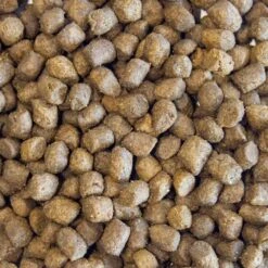 Huntland Deboned Chicken Turkey Grain Free Dry Puppy Food - 10kg + 2kg FREE By Huntland -Pattes Douces Store Huntland Deboned Chicken and Turkey Grain Free Puppy Food 12kg 6