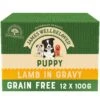 James Wellbeloved Grain Free Puppy Dog Food Pouches Lamb In Gravy - 12x100g By James Wellbeloved