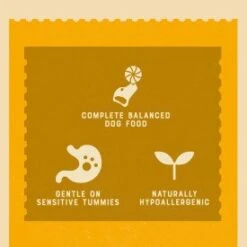 James Wellbeloved Senior Dog Food Pouches Lamb In Gravy - 10x150g By James Wellbeloved 7 James Wellbeloved Senior Dog Food Pouches Lamb In Gravy - 10x150g By James Wellbeloved -Pattes Douces Store James Wellbeloved Lamb Senior Dog Pouches 10 Pack 100g 3