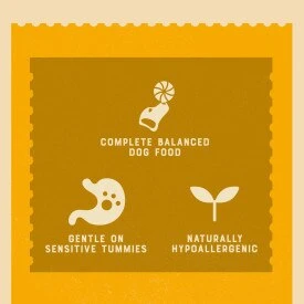 James Wellbeloved Senior Dog Food Pouches Lamb In Gravy - 10x150g By James Wellbeloved 3 James Wellbeloved Senior Dog Food Pouches Lamb In Gravy - 10x150g By James Wellbeloved - Image 3