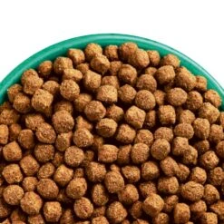 Pattes Douces Store -Pattes Douces Store James Wellbeloved Turkey Rice Junior Dry Dog Food 15kg 2