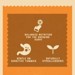 James Wellbeloved Puppy & Junior Turkey & Rice In Gravy Wet Dog Food Pouches - 10 X 150g By James Wellbeloved -Pattes Douces Store James Wellbeloved Turkey Rice Puppy Junior Dog Pouches 10 Pack 150g 4