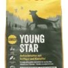 Josera Young Star Dry Puppy Food - 15kg By Josera