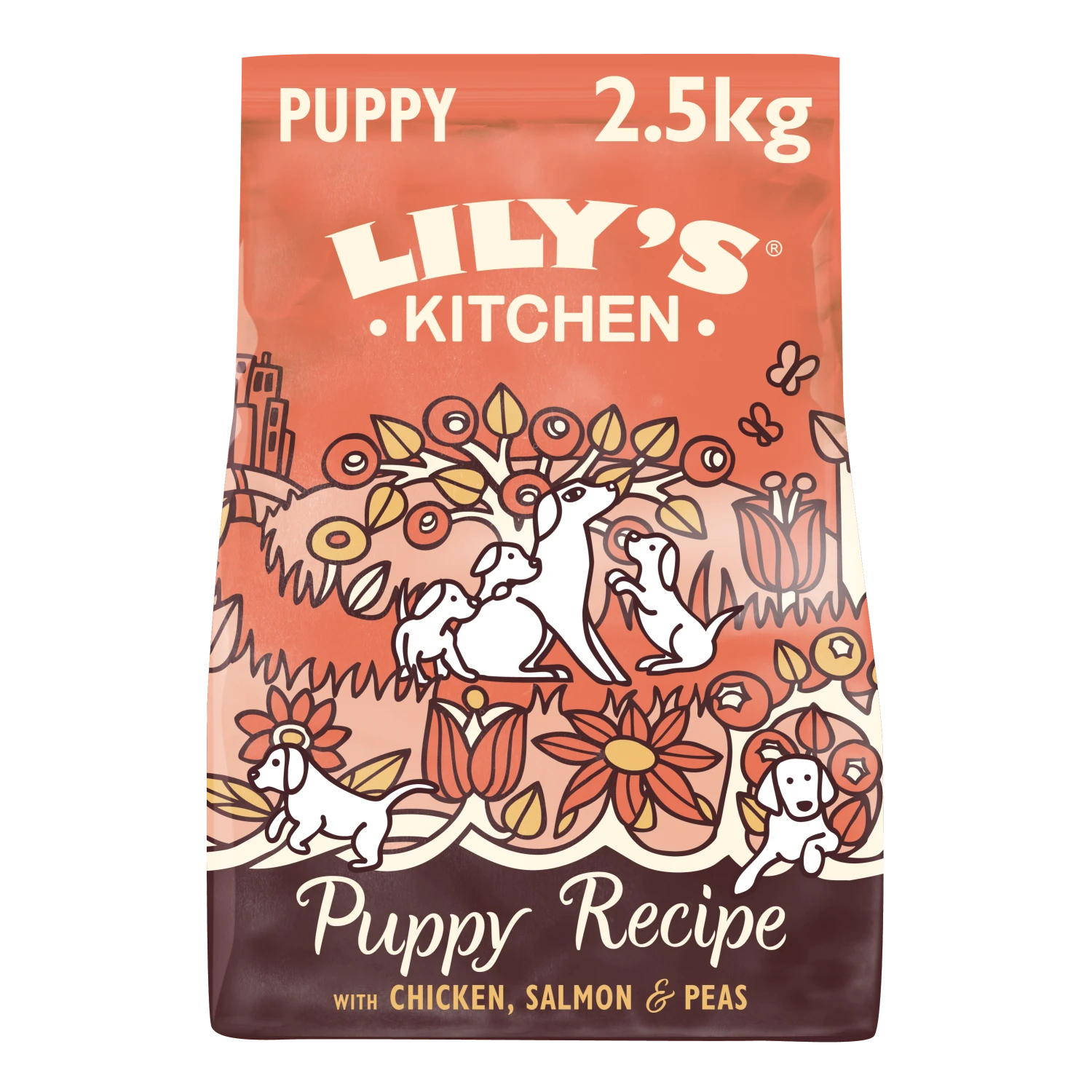 Lily's Kitchen Puppy Recipe Chicken & Salmon Dry Dog Food - 2.5kg By Lilys Kitchen 1 Lily's Kitchen Puppy Recipe Chicken & Salmon Dry Dog Food - 2.5kg By Lilys Kitchen