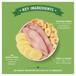 Lily's Kitchen Recovery Recipe Wet Dog Food Tins - 6 X 400g By Lilys Kitchen -Pattes Douces Store Lilys Kitchen Recovery Recipe Dog Food Tins 6x400g 4