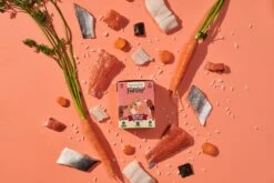 Naturediet Feel Good Salmon Dog Food - 18 X 390g By Naturediet -Pattes Douces Store Naturediet Feel Good Salmon dog food 18 390g 6