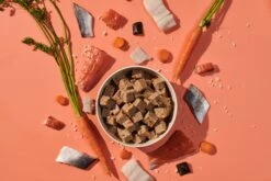 Naturediet Feel Good Salmon Dog Food - 18 X 390g By Naturediet -Pattes Douces Store Naturediet Feel Good Salmon dog food 18 390g 7