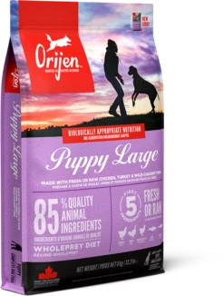 Orijen Large Breed Dry Puppy Food - 6kg By Orijen