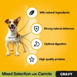 Pedigree Adult Mixed Selection In Gravy Wet Dog Food Pouches - 80 X 100g By Pedigree -Pattes Douces Store Pedigree Adult Mixed Selection in Gravy Wet Dog Food Pouches 80 x 100g 4