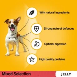 Pedigree Adult Mixed Selection In Jelly Wet Dog Food Pouches - 80 X 100g By Pedigree -Pattes Douces Store Pedigree Adult Mixed Selection in Jelly Wet Dog Food Pouches 80 x 100g 4