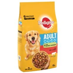 Pedigree Dog Complete Dry With Beef And Vegetable - 12kg By Pedigree -Pattes Douces Store Pedigree Complete Beef Dry Dog Food 15kg 3