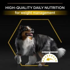 PRO PLAN All Sizes Adult Dry Dog Food Light / Sterilised Rich In Chicken - 3kg By Pro Plan -Pattes Douces Store Pro Plan Light Original Chicken Rice Dry Dog Food 3kg 7