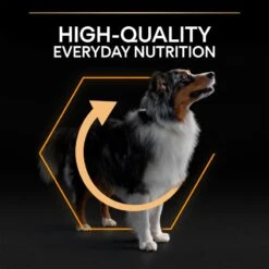 PRO PLAN Medium Adult Dry Dog Food Everyday Nutrition Rich In Chicken - 14kg By Pro Plan -Pattes Douces Store Pro Plan Original Rich In Chicken Rice Dry Dog Food 14kg 7