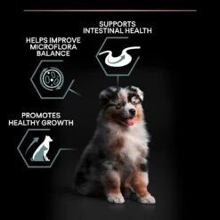 PRO PLAN Medium Puppy Dry Dog Food Sensitive Digestion Rich In Lamb - 3kg By Pro Plan -Pattes Douces Store Pro Plan Sensitive Digestion Rich in Lamb with Optidigest Dry Puppy Food 3kg 4