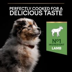 PRO PLAN Medium Puppy Dry Dog Food Sensitive Digestion Rich In Lamb - 3kg By Pro Plan -Pattes Douces Store Pro Plan Sensitive Digestion Rich in Lamb with Optidigest Dry Puppy Food 3kg 5