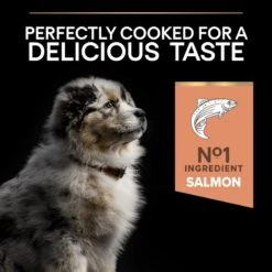 PRO PLAN Medium Puppy Dry Dog Food Sensitive Skin Rich In Salmon - 3kg By Pro Plan -Pattes Douces Store Pro Plan Sensitive Salmon Rice Dry Medium Puppy Food 3kg 5