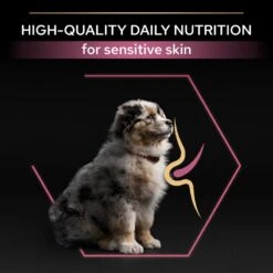 PRO PLAN Medium Puppy Dry Dog Food Sensitive Skin Rich In Salmon - 3kg By Pro Plan -Pattes Douces Store Pro Plan Sensitive Salmon Rice Dry Medium Puppy Food 3kg 7